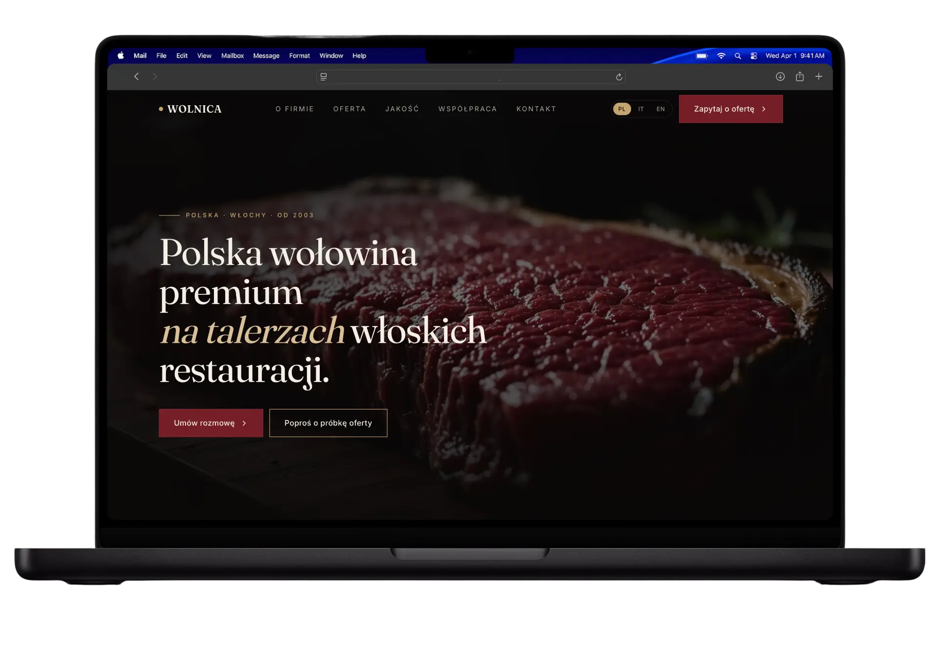 Realizacja 1 — strona internetowa wykonana przez Stronnica