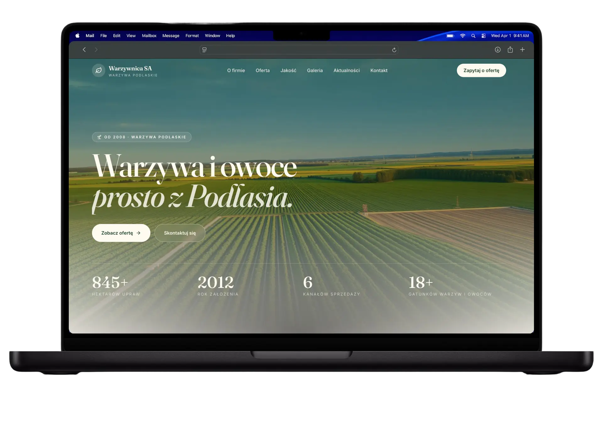 Realizacja 2 — strona internetowa wykonana przez Stronnica